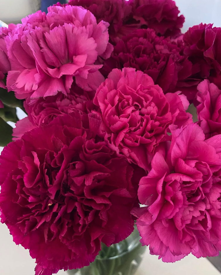 Pink flowers